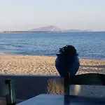 فيلة Hidden Gem Aqua Marine - Sea View - *